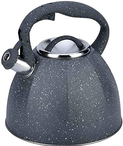 OOOFFFFFFFF Whistling Kettle for Gas Hob 4 Liters Stainless Steel Kettle Ergonomic Handle Whistling Teapot for Home Kitchen Outdoor Indoor Camping Kettle for Gas Stove (Red 4L) (Gray 4L)