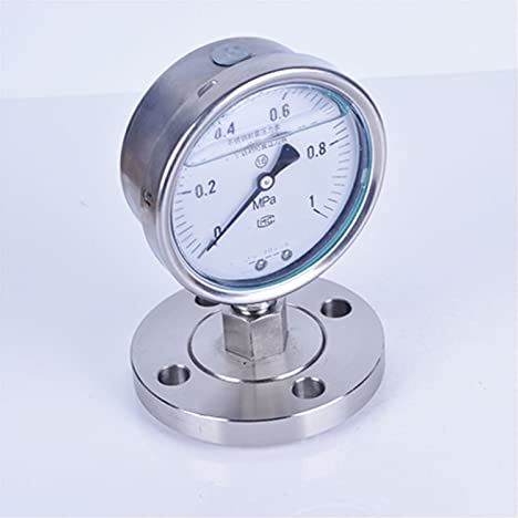 XWJSKJ Flensde alle roestvrijstalen drukmeter flensaansluiting roestvrijstalen diafragma manometer schokbestendige manometer (Color : Natural, Size : 0~0.16)