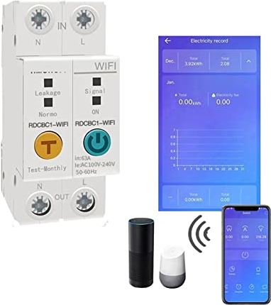 lxxiulirzeu Energie meter 2p e Slaperigheid WIFI Smart Energy Meter Lekkage Protection Remote Lees KWh Meter Wattmeter Voice Control Alexa en Google voor batterijbewaking