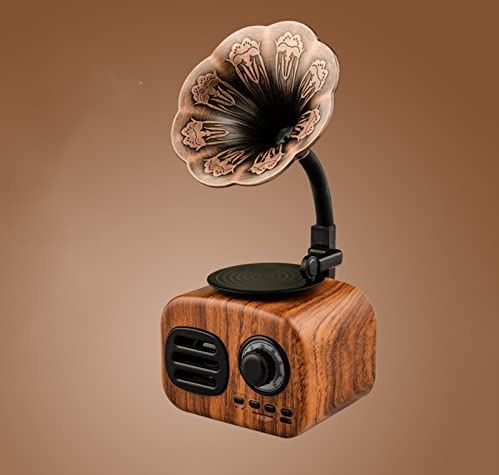 FIFAYYUIO Vintage Bluetooth-Luidspreker, Retro Houten Draagbare Doos Draadloze Mini-Luidspreker Buiten Voor Geluidssysteem, Ondersteuning Tf Fm-Radio Muziek Mp3-Subwoofer,Messing