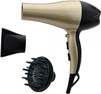 EDM Haardroger met diffuser 2.200-2.400 W