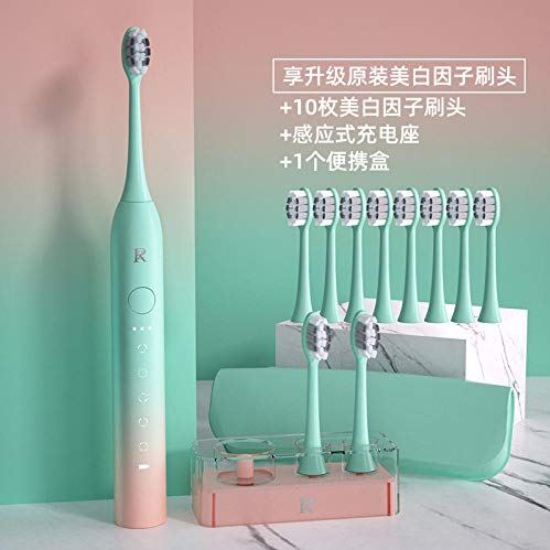 Haodong Elektrische tandenborstel voor mannen en vrouwen volwassenen elektrische tandenborstel voor vriend dag cadeau paar set geschenkdoos 2-groen + 10