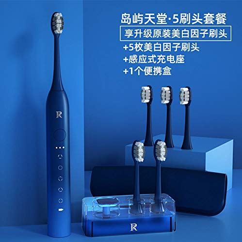 Haodong Elektrische tandenborstel voor mannen en vrouwen volwassenen elektrische tandenborstel voor vriend dag cadeau paar set geschenkdoos 2-blauw + 5