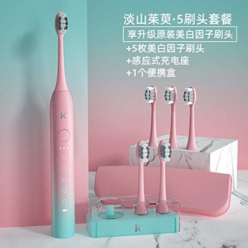 Haodong Elektrische tandenborstel voor mannen en vrouwen volwassenen elektrische tandenborstel voor vriend dag cadeau paar set geschenkdoos 2-rood + 5