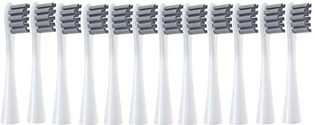 SHAOZI YanB6 compatibel met 12 stuks vervangbare borstelkoppen geschikt compatibel met Oclean X/X PRO/Z1/F1/One/Air 2 /SE Sonic elektrische tandenborstelborstel navullingen (kleur: 12 grijs)