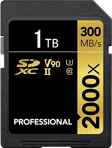 GANSO Memory SD Card Scheda di Memoria 1024 GB UHS-I U1 C10 SDXC Class 10, Lezen Speed tot 300 MB/s voor fotografen, vloggers, filmmaker en content curators