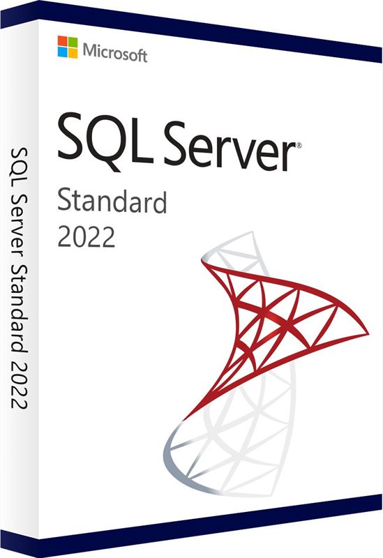 Microsoft SQL Server 2022 Standard Server