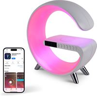 Ninoway Wake Up Light - Digitale Wekker - Lichtwekker - Oplader - Radio - Bluetooth Speaker - Met App